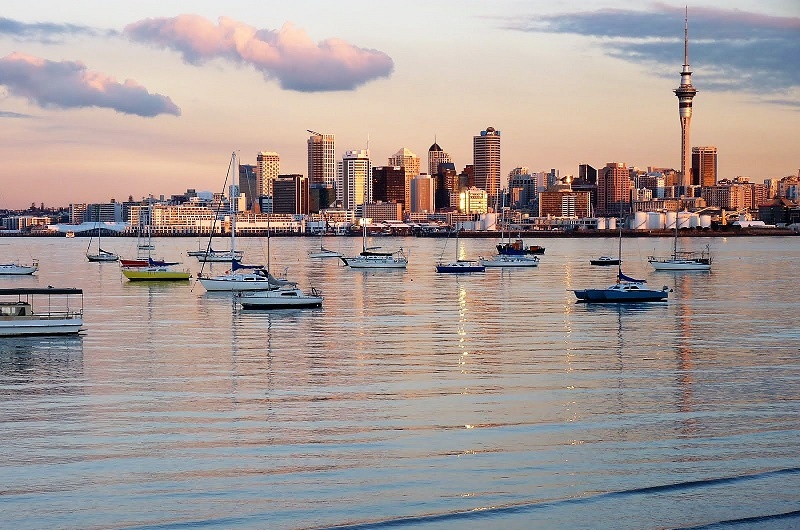 Top 10 Things to Do in Auckland